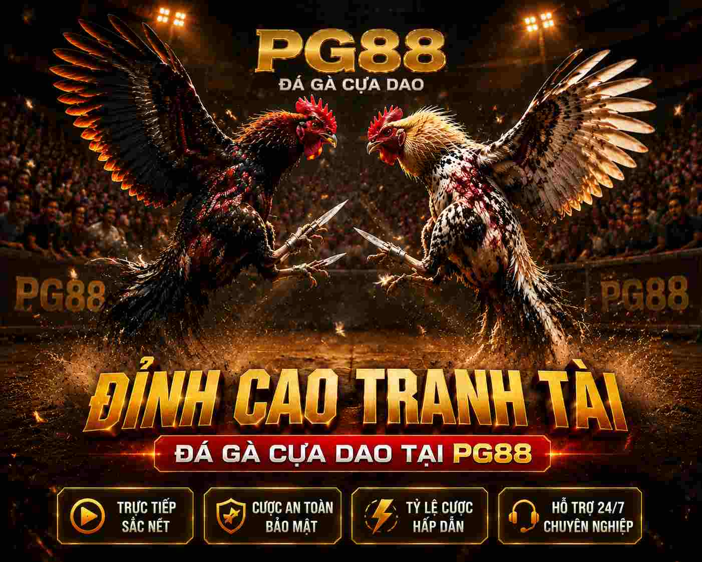 Đá gà cựa dao PG88 mang lại những trận đấu kịch tính